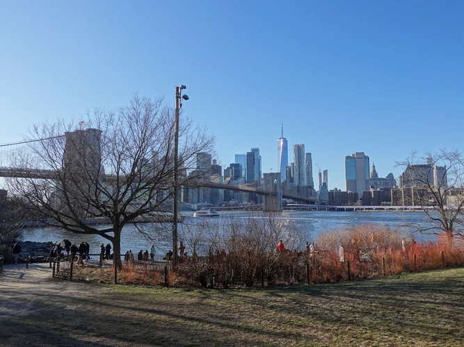 NYC_2024-02-03 15-42-37_RX_07058